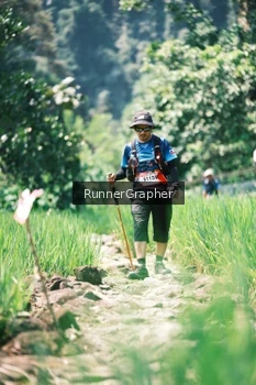 Runner Photo 5264747