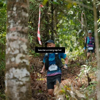 Runner Photo 5264769