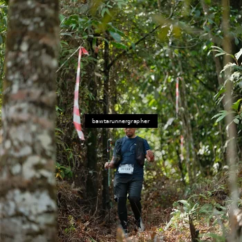 Runner Photo 5264770