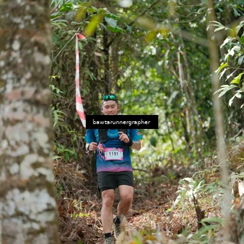 Runner Photo 5264782