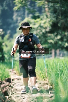 Runner Photo 5264808