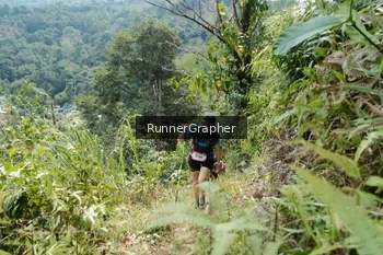 Runner Photo 5264809