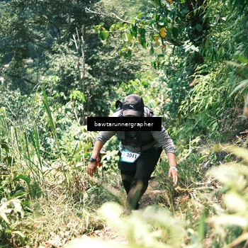 Runner Photo 5264835
