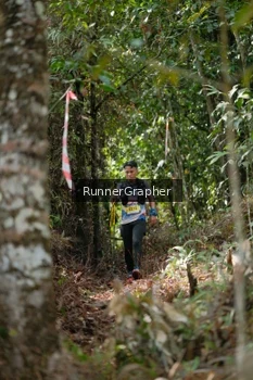 Runner Photo 5264863