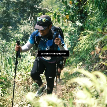 Runner Photo 5264881