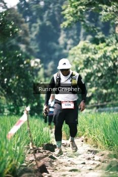 Runner Photo 5264888