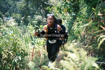 Runner Photo 5264894