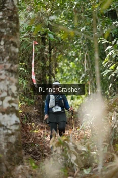 Runner Photo 5264929