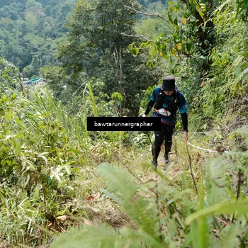 Runner Photo 5264940