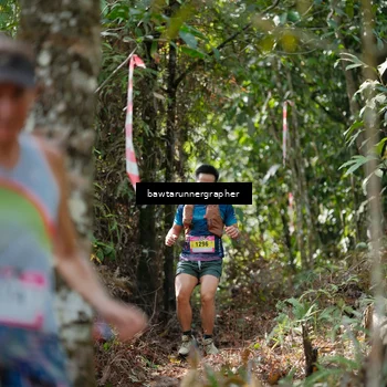 Runner Photo 5264949