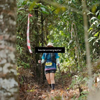 Runner Photo 5264960