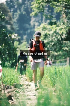 Runner Photo 5264989