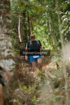 Runner Photo 5265003
