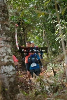 Runner Photo 5265043