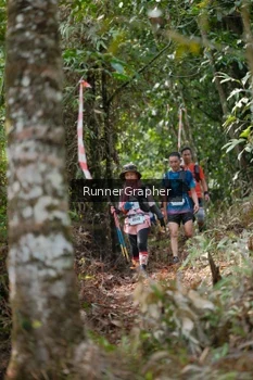 Runner Photo 5265045
