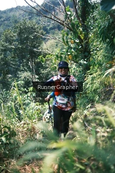 Runner Photo 5265046