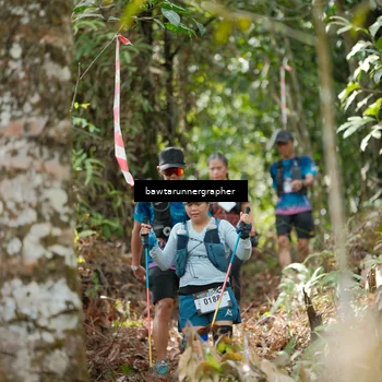 Runner Photo 5265059