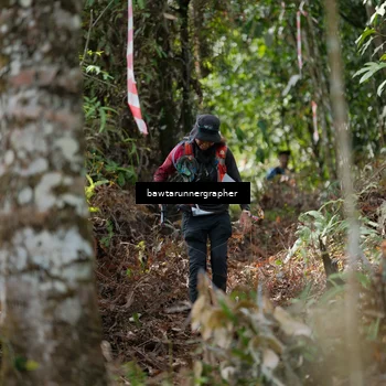 Runner Photo 5265062