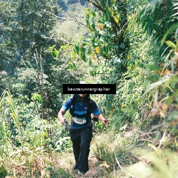 Runner Photo 5265114