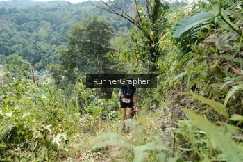 Runner Photo 5265140