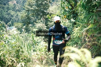Runner Photo 5265143