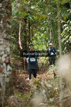 Runner Photo 5265144