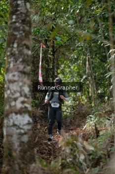 Runner Photo 5265149