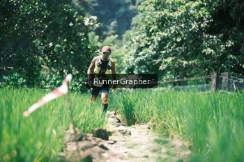 Runner Photo 5265197