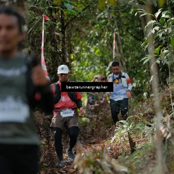 Runner Photo 5265253