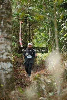 Runner Photo 5265256