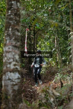 Runner Photo 5265293