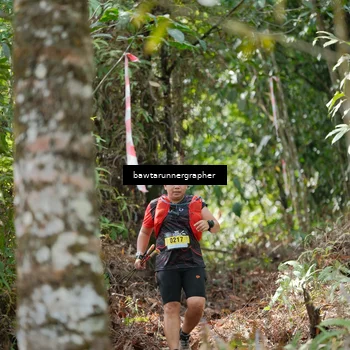 Runner Photo 5265307