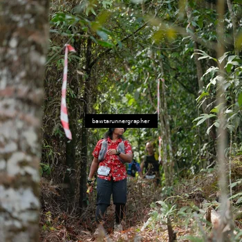 Runner Photo 5265354