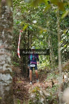 Runner Photo 5265375
