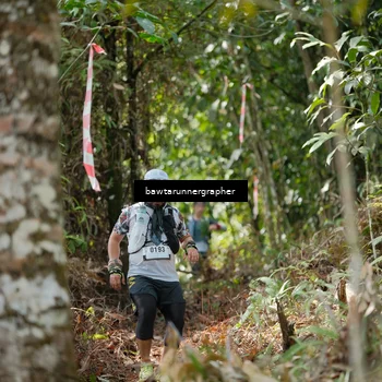 Runner Photo 5265419