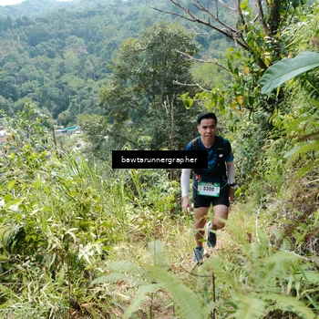 Runner Photo 5265467