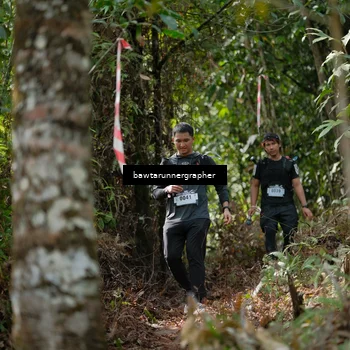 Runner Photo 5265468
