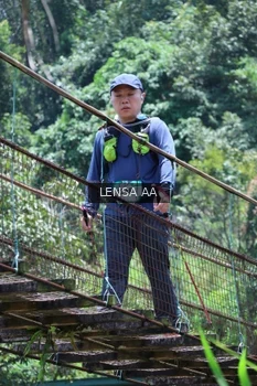 Runner Photo 5265541