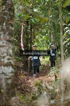 Runner Photo 5265680