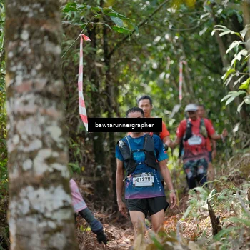Runner Photo 5265708