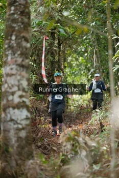 Runner Photo 5265709