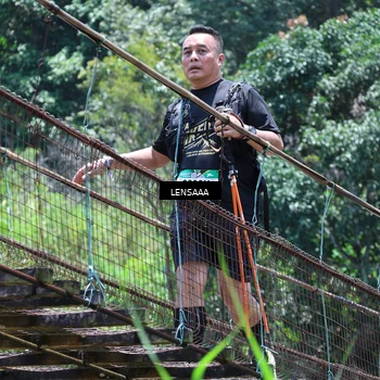 Runner Photo 5265726