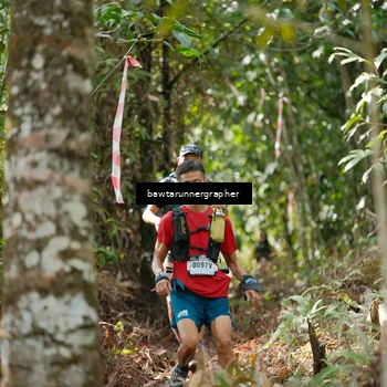 Runner Photo 5265755