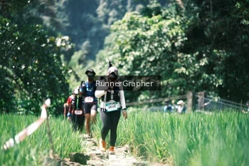 Runner Photo 5265762