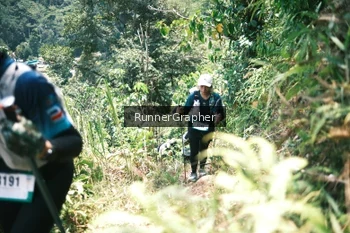 Runner Photo 5265774