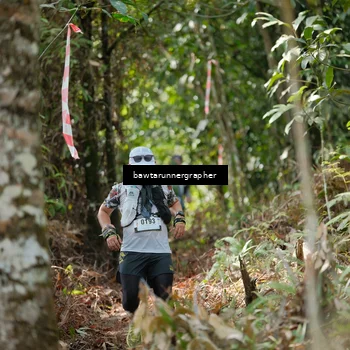 Runner Photo 5265777