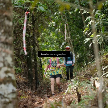 Runner Photo 5265785