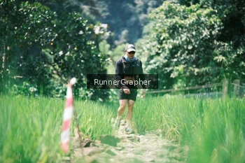 Runner Photo 5265787