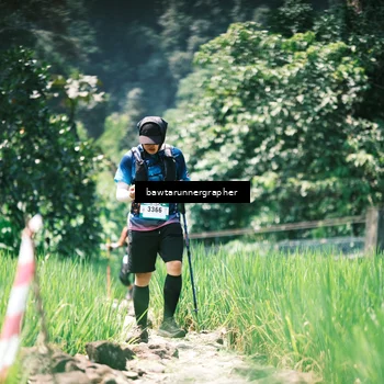 Runner Photo 5265805