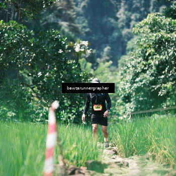 Runner Photo 5265857